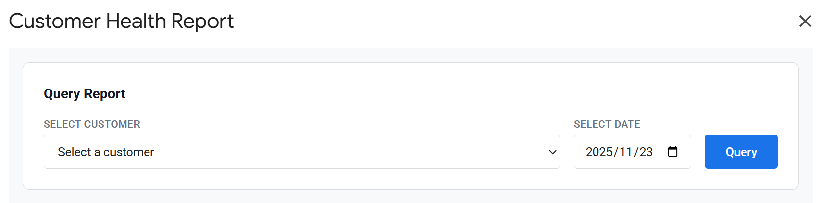 Customer Health Query Interface